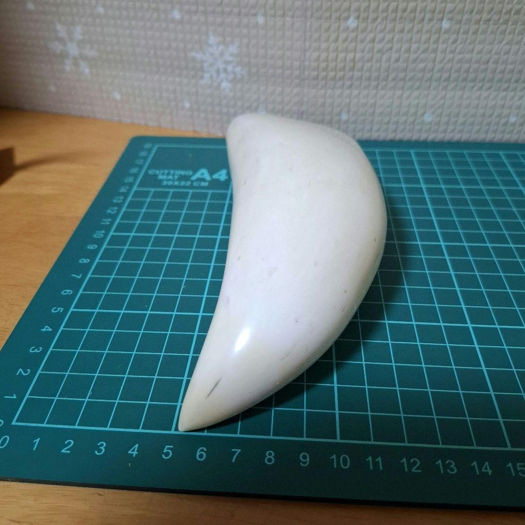 鯨の歯と台付き