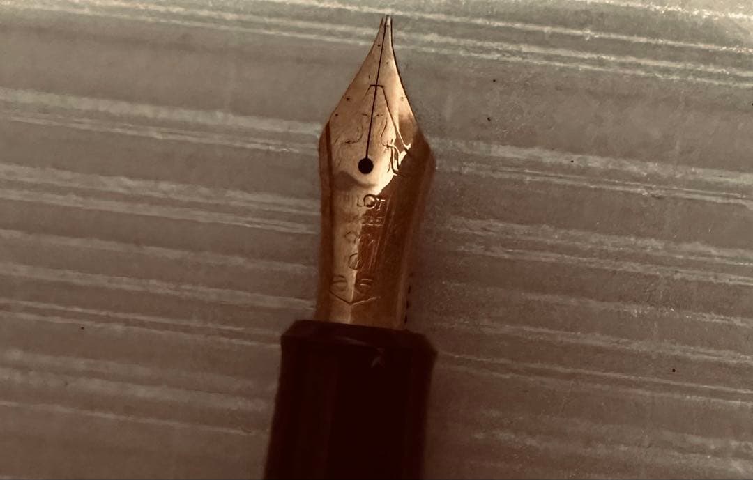 pilot 65周年 14k 585 （M） 赤軸 パイロット 万年筆