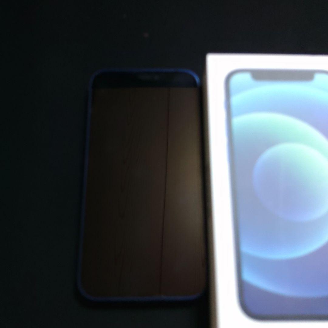 Apple iPhone 12 mini青色 本体