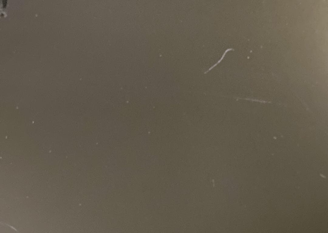 あずま工芸 センターテーブル ローテーブル ダークブラウン 幅90㎝