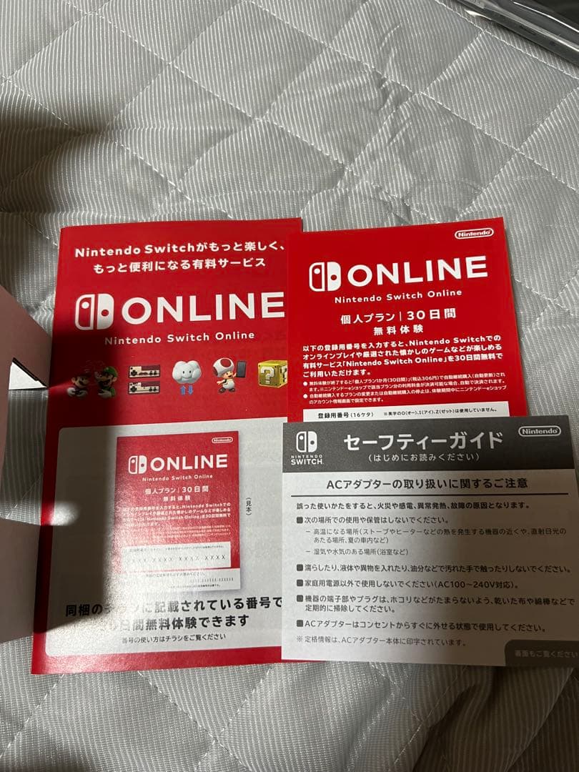 Nintendo Switch Lite グレー新品未使用