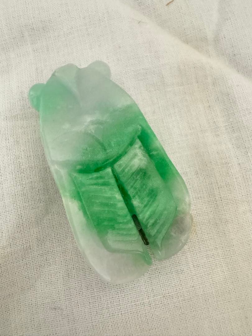 翡翠トップ 蝉