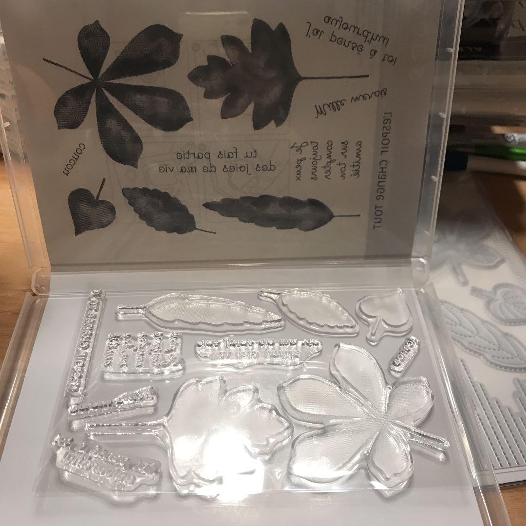 １点のみ　未使用　スタンピンアップ　フランス語　大きな葉が可愛いスタンプ＆ダイ