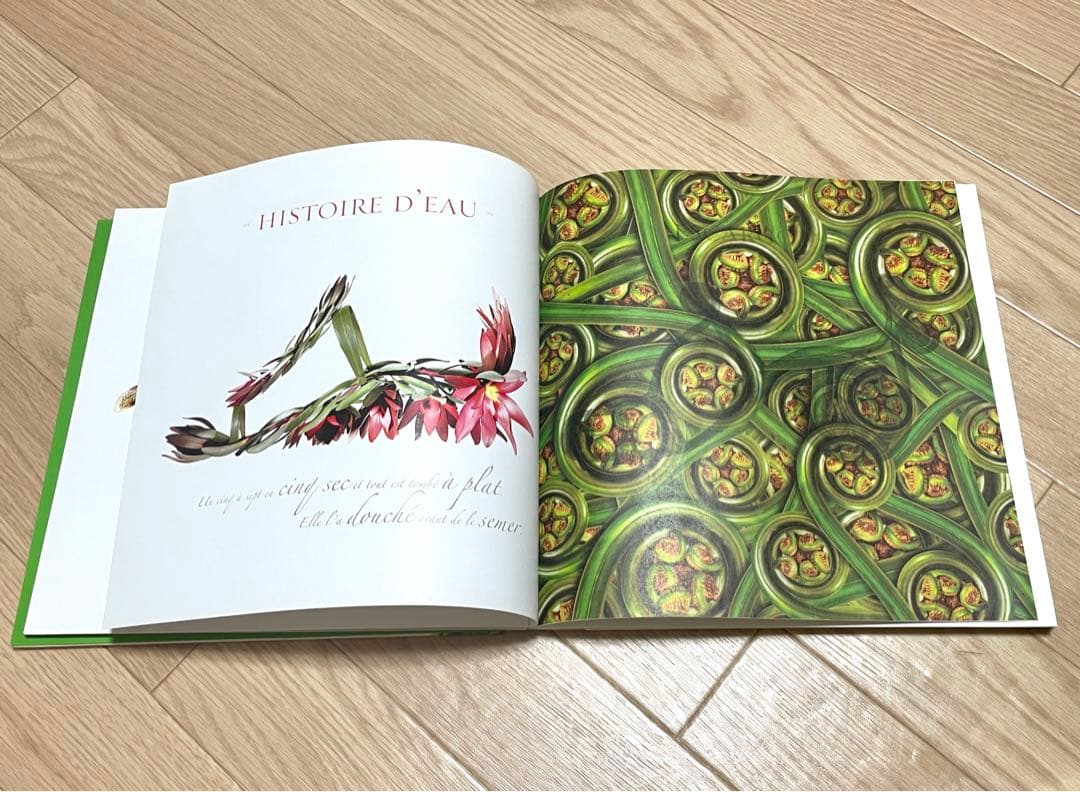 花束・植物 シューズ・鞄 洋書写真集 Bouquets de souliers