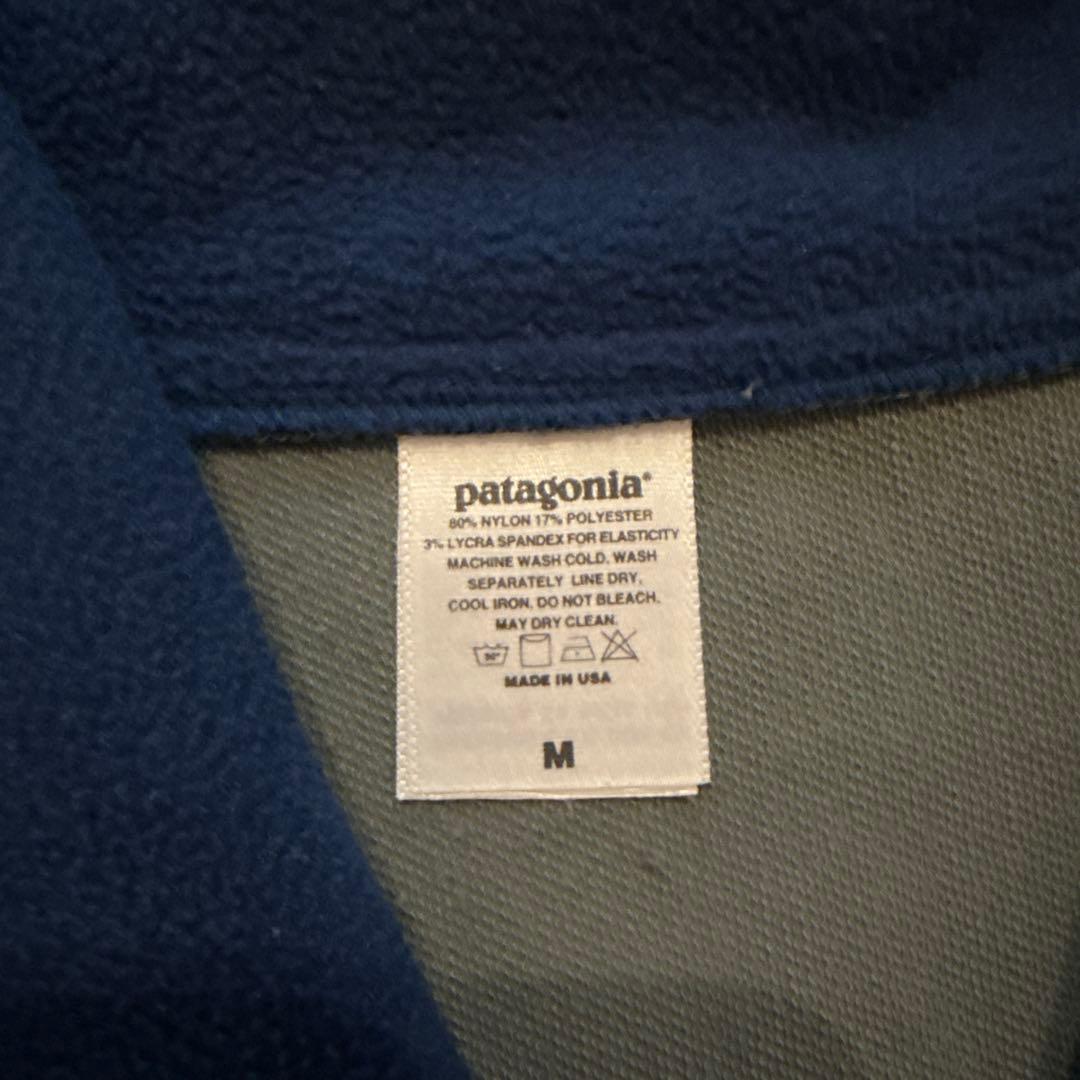 patagonia 希少種 / スナップT ダスパーカー グリセード シンチラ