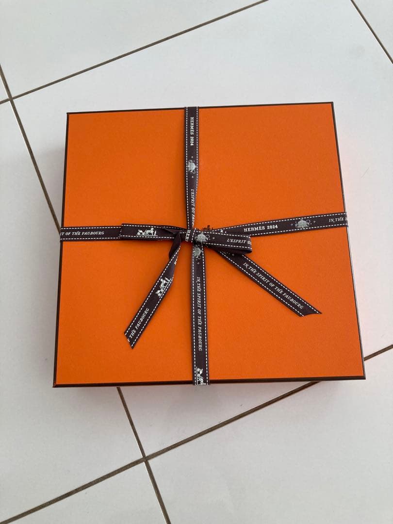 新品　エルメス　HERMES ソレイユドゥエルメス　プレート21cm2枚セット