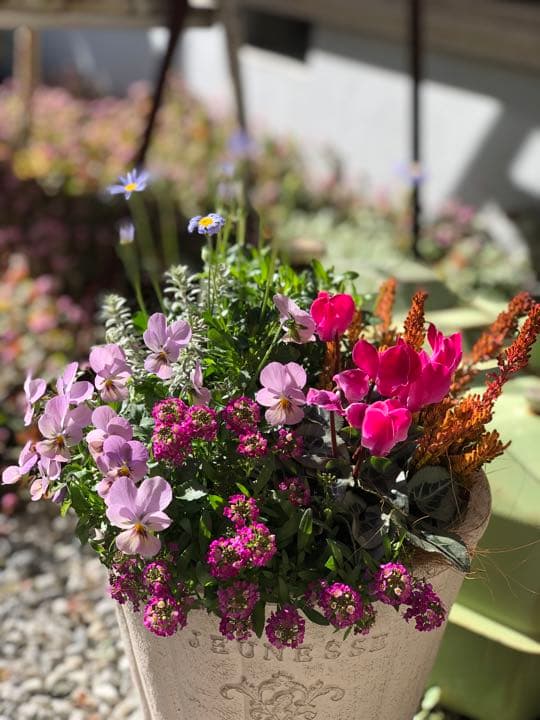 季節のお花寄せ植え  グラスファイバー