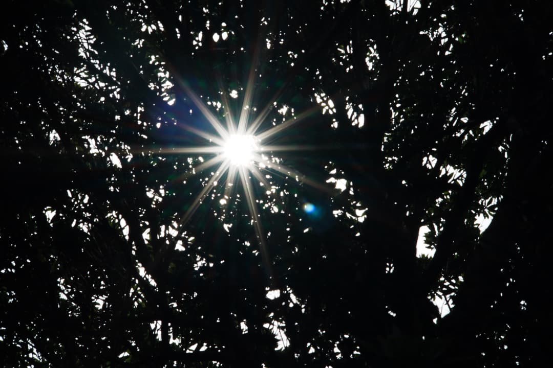 【美品】動作◎ ニコン Ai-s Nikkor 105mm F2.5 601