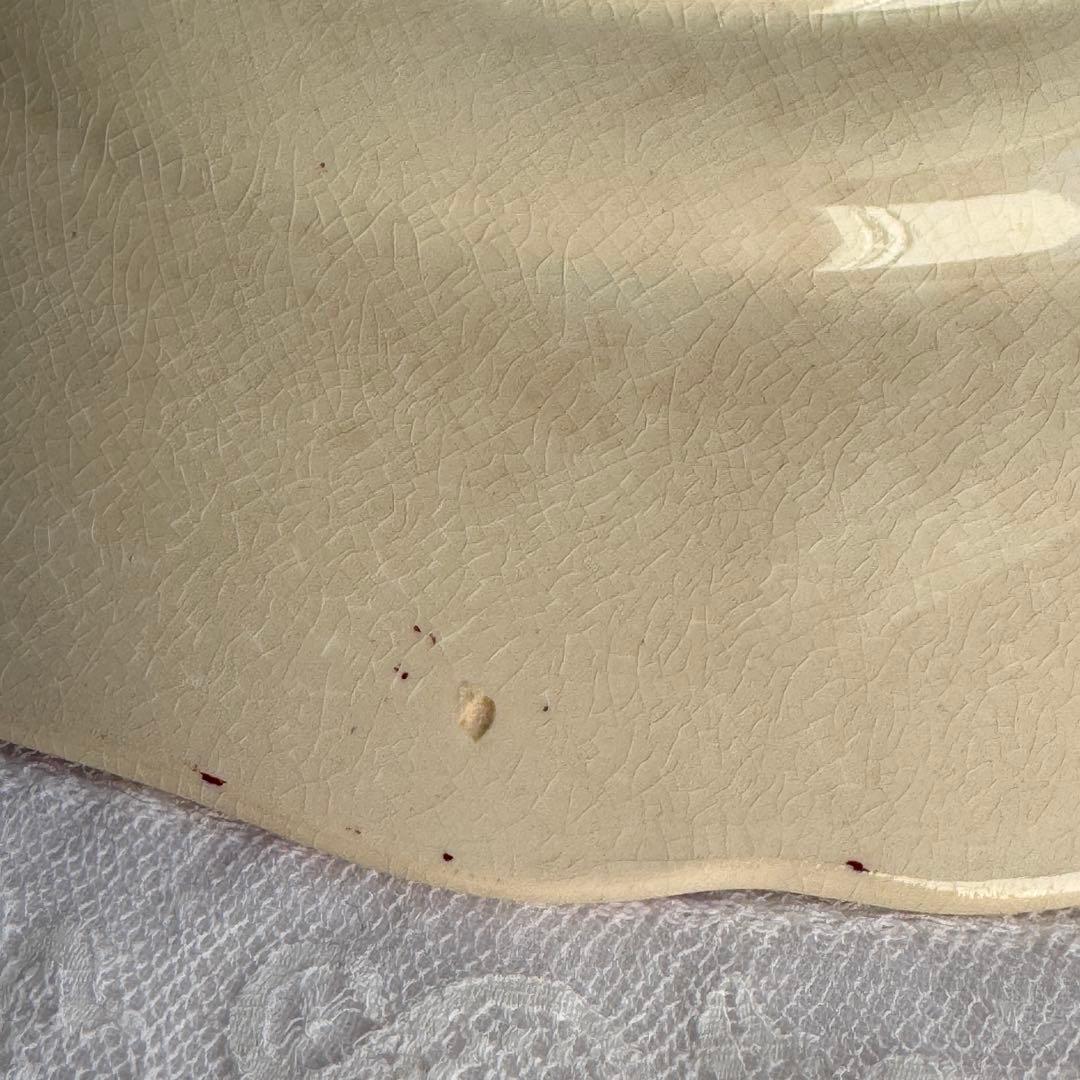 フランスアンティーク　サルグミンヌ　Fontanges ディナープレート　花リム