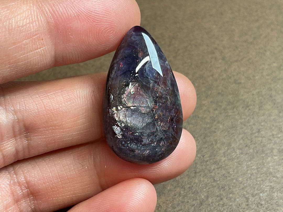 でんちゃん 10/16