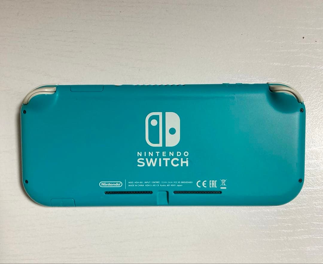 Nintendo Switch Light ニンテンドースイッチ　ライト