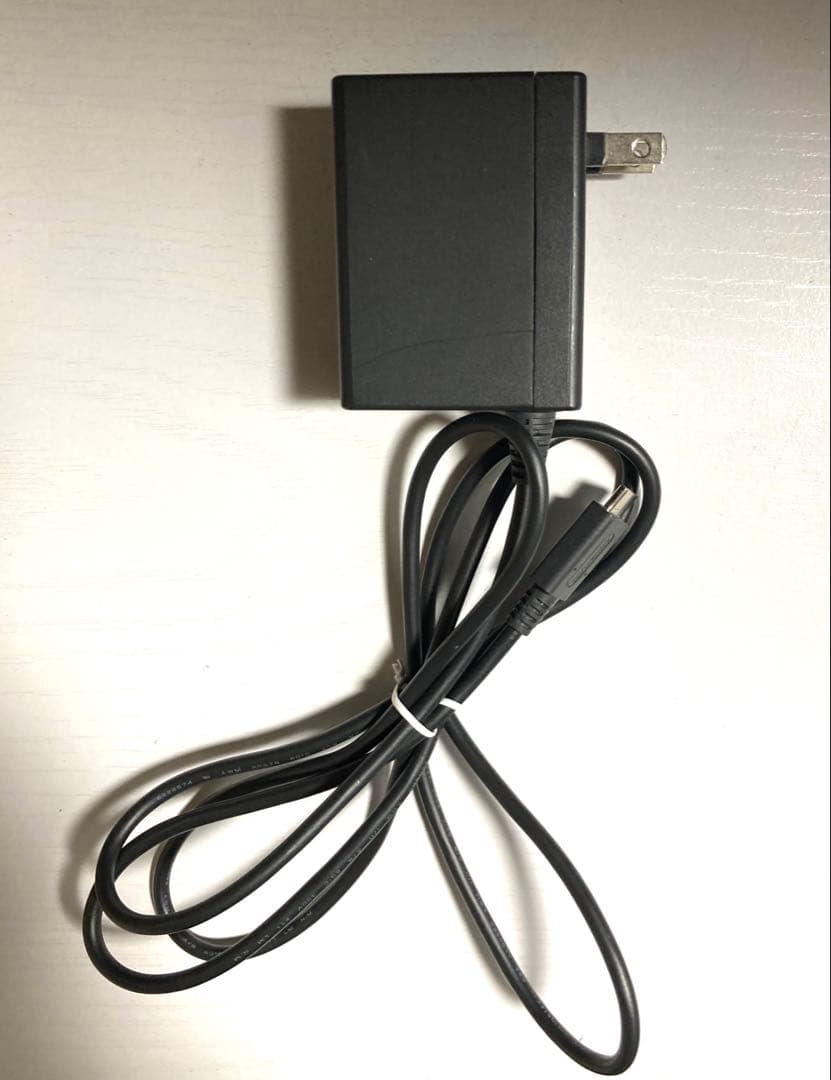 Nintendo Switch Light ニンテンドースイッチ　ライト