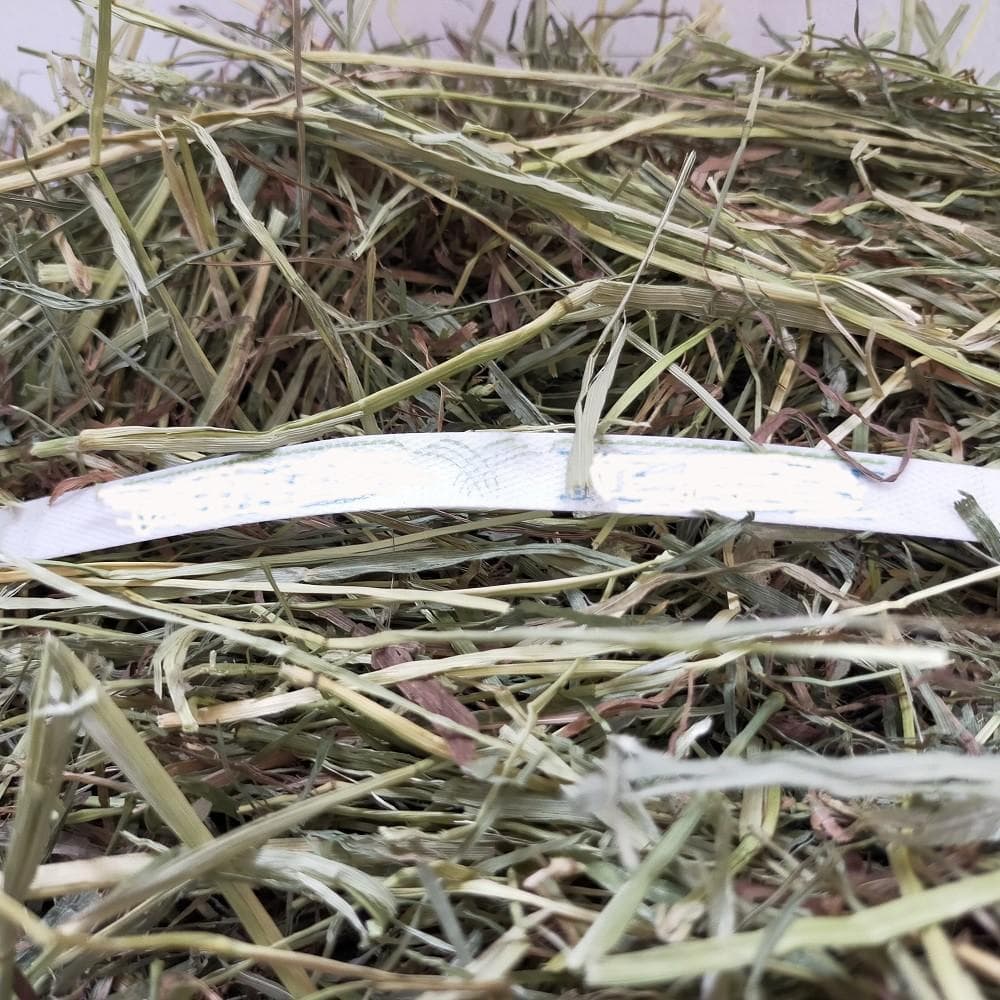 【6/15まで】US産 チモシー 50kg ２番刈 ソフトSプレミアム